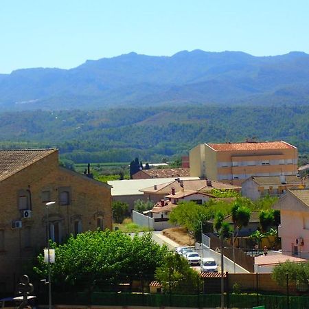 Ebro Escape Luxury Apartment Mora d'Ebre Exterior photo